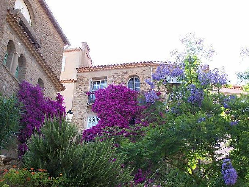 183 D23 BORMES LES MIMOSAS 1_000049.jpg